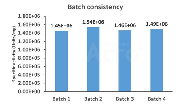 GENIUS™ Nuclease, premium grade