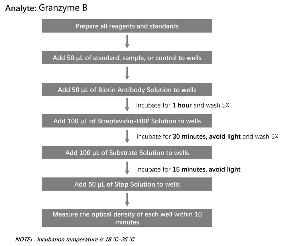  Granzyme B Workflow