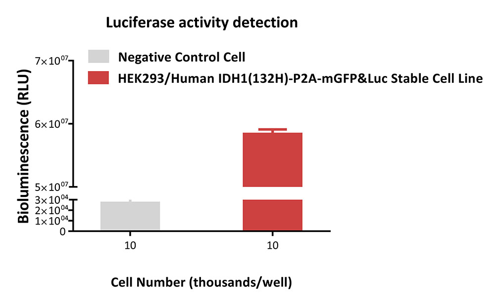  IDH1(132H)-P2A-mGFP&Luc APPLICATION