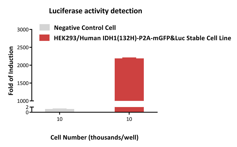  IDH1(132H)-P2A-mGFP&Luc APPLICATION