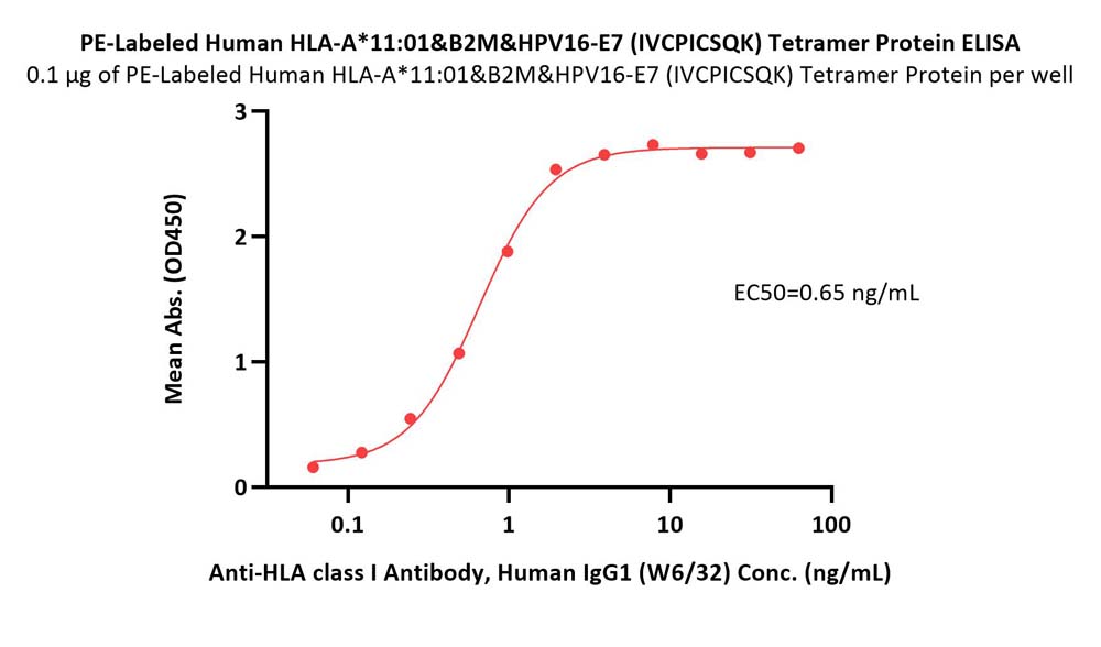  HLA-A*1101 & B2M & HPV16-E7 (IVCPICSQK) ELISA