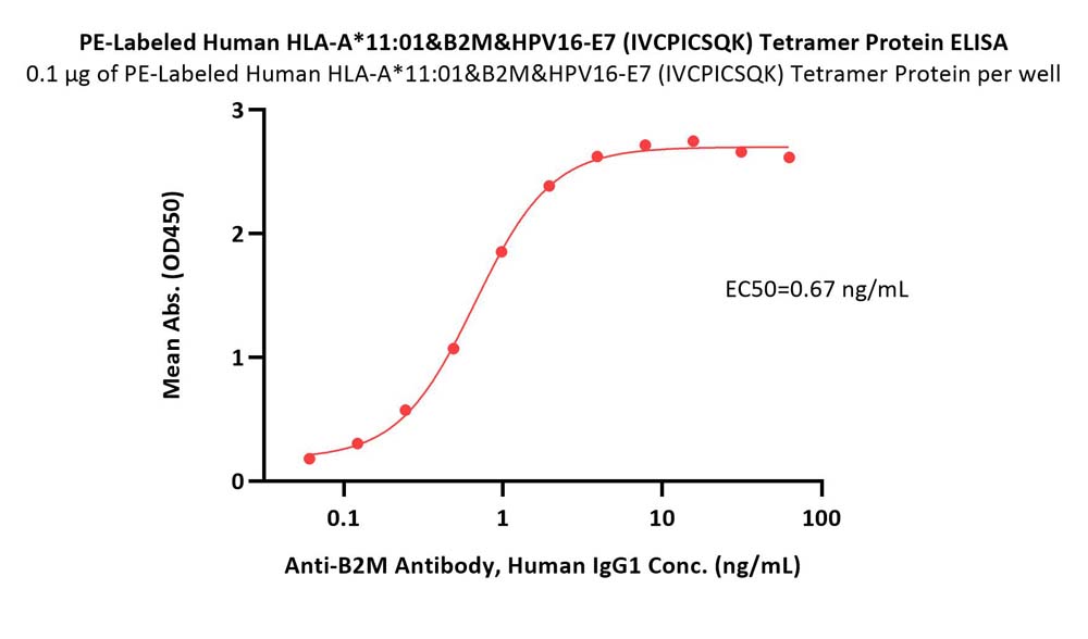  HLA-A*1101 & B2M & HPV16-E7 (IVCPICSQK) ELISA