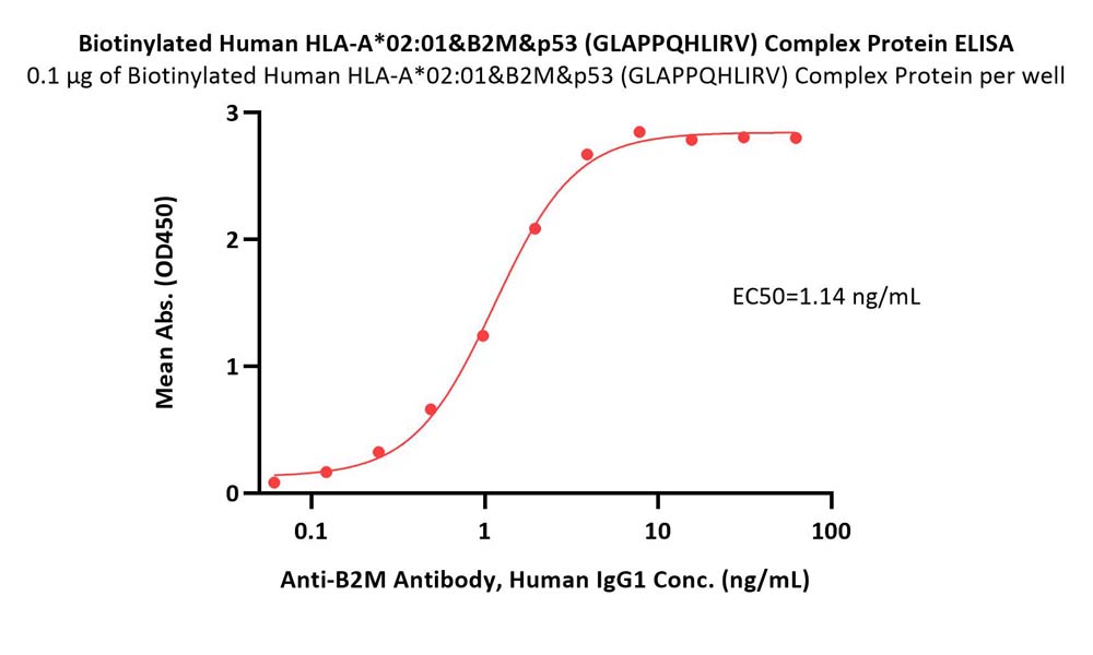  HLA-A*0201 | B2M | p53 (GLAPPQHLIRV) ELISA