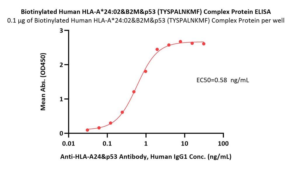  HLA-A*2402 & B2M & p53 (TYSPALNKMF) ELISA