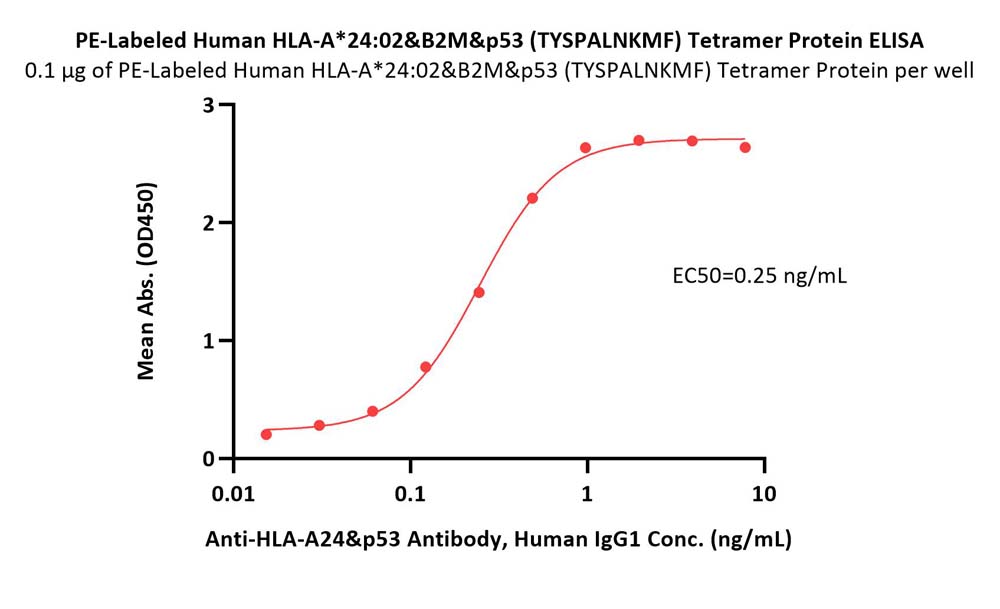  HLA-A*2402 & B2M & p53 (TYSPALNKMF) ELISA