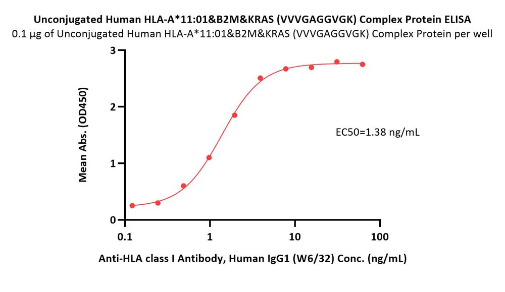  HLA-A*1101 & B2M & KRAS (VVVGAGGVGK) ELISA