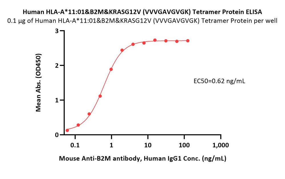  HLA-A*1101 & B2M & KRASG12V (VVVGAVGVGK) ELISA