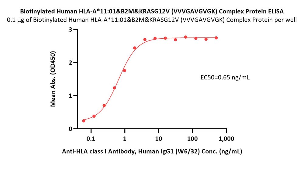  HLA-A*1101 & B2M & KRASG12V (VVVGAVGVGK) ELISA