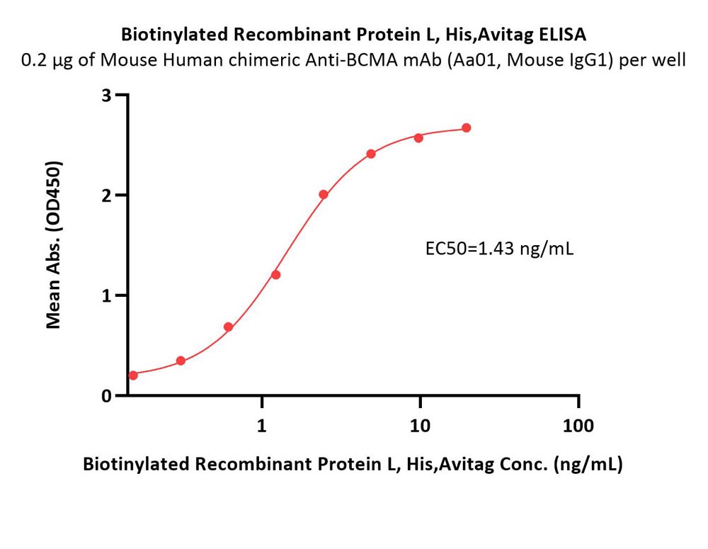  Protein L ELISA