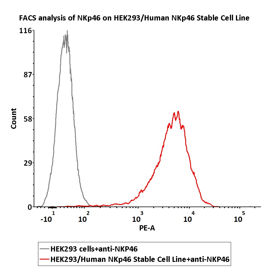  NKp46 FACS