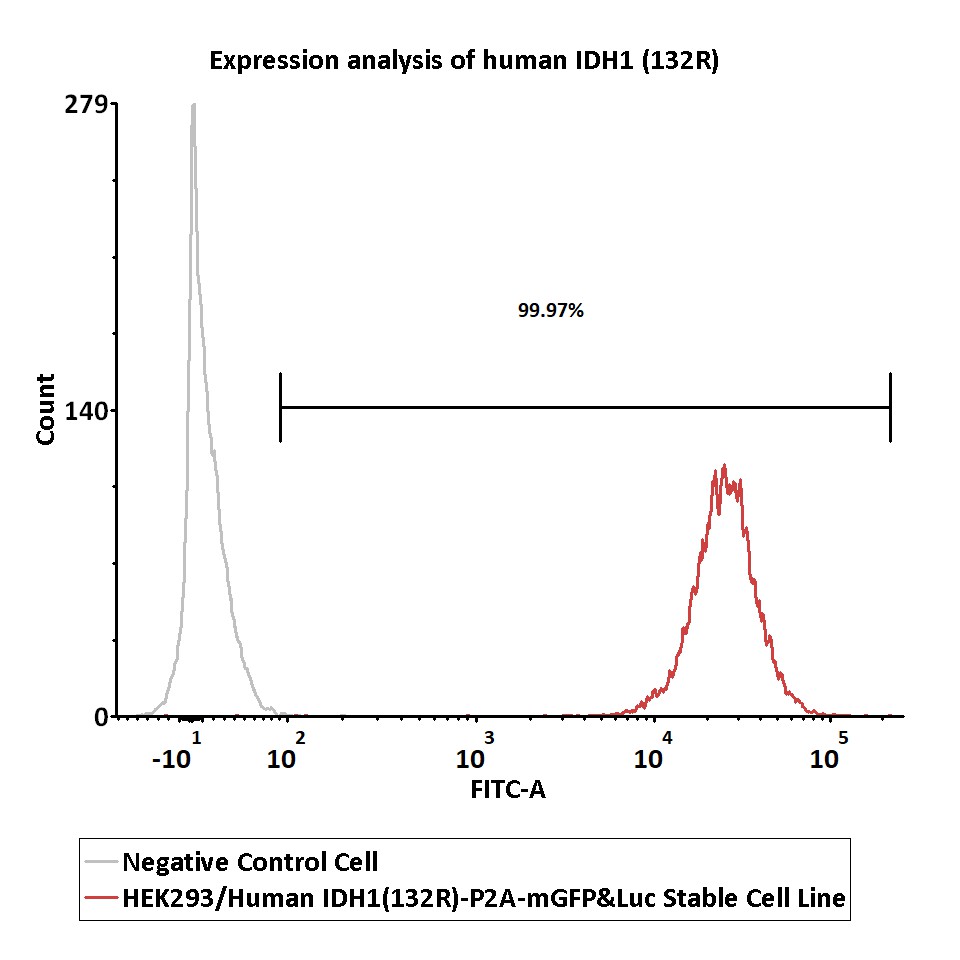  IDH1(132R)-P2A-mGFP&Luc FACS