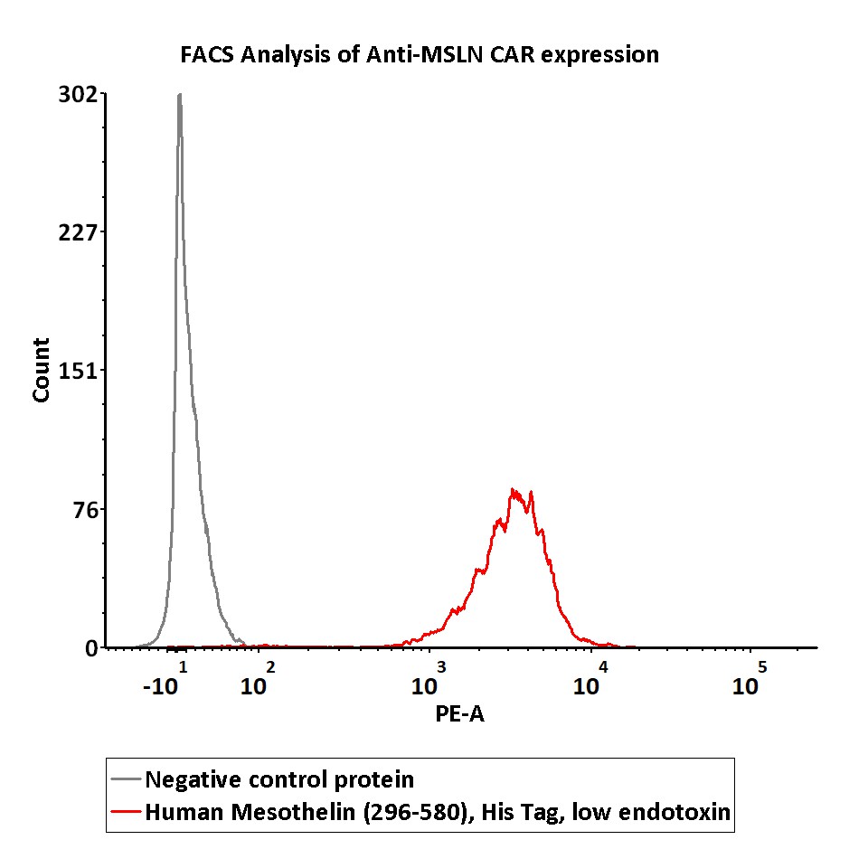  Mesothelin FACS