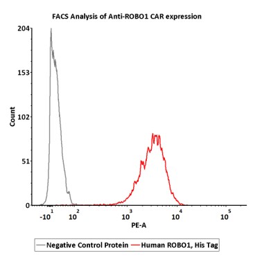  ROBO1 FACS