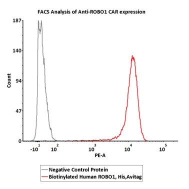  ROBO1 FACS