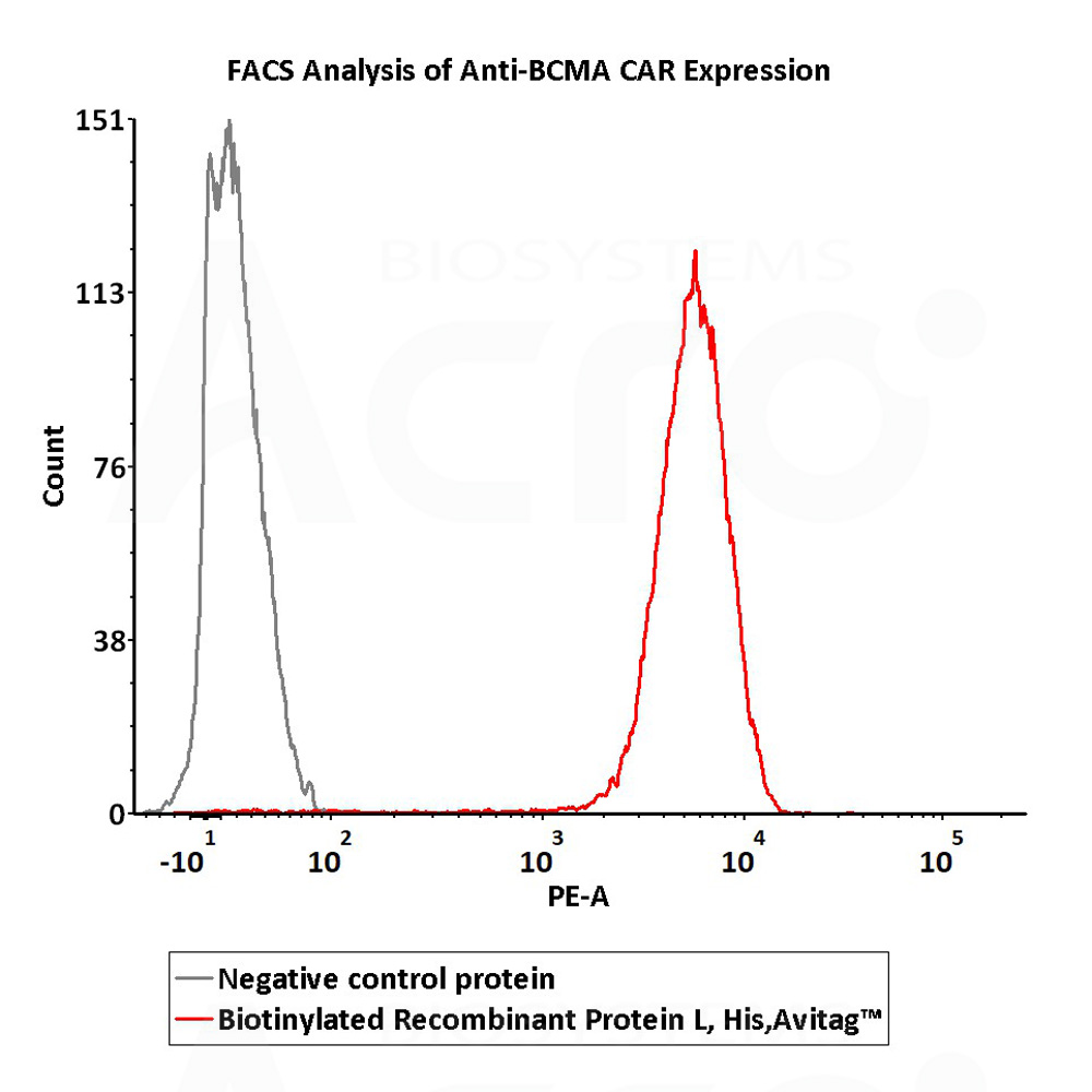  Protein L FACS