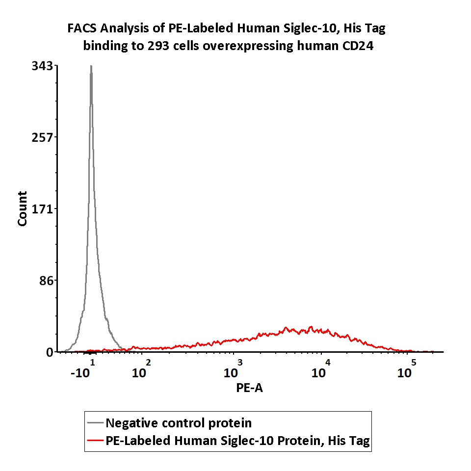  Siglec-10 FACS