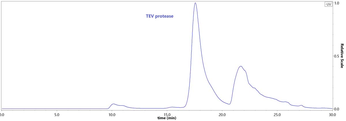 TEV protease SEC-HPLC