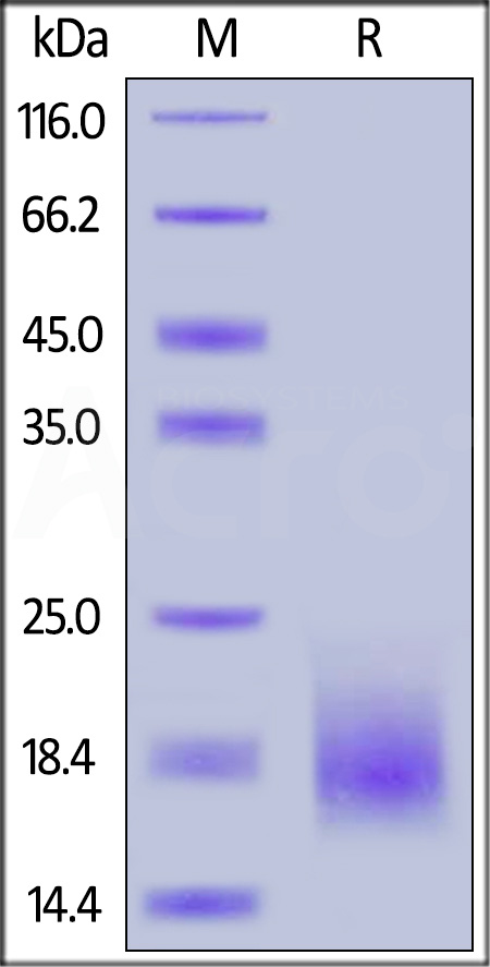 ACB-H52H4-sds