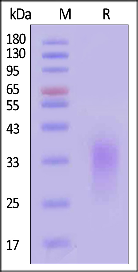 ACB-H82E3-sds