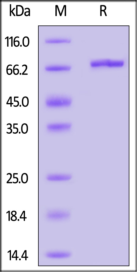 ALN-H52H9-sds