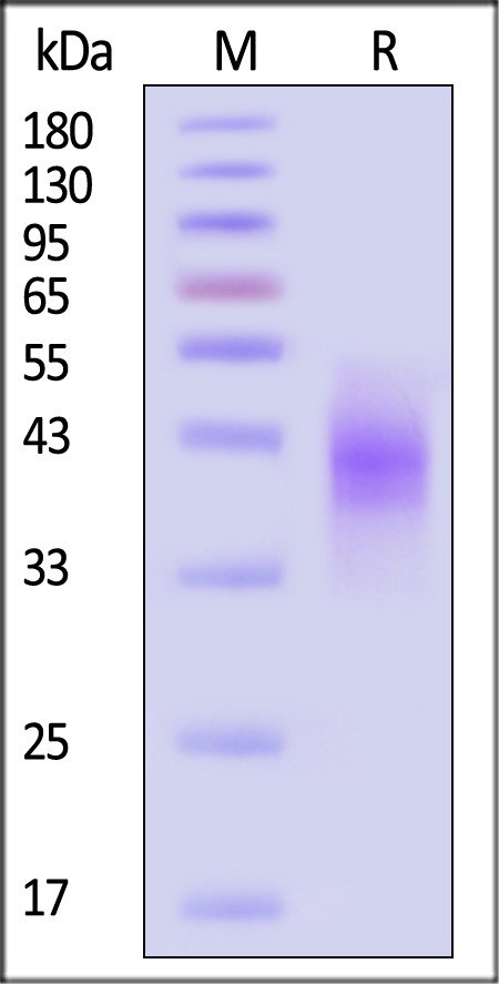 B73-M82E3-sds