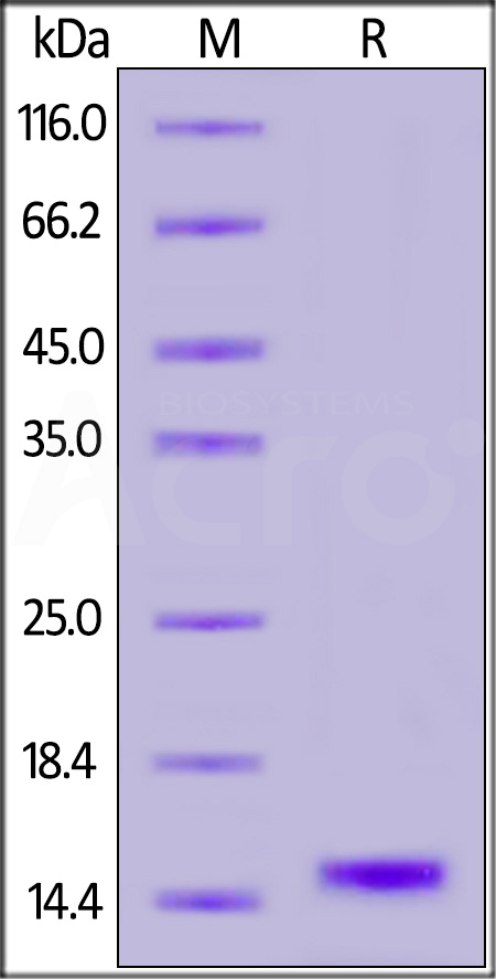 CS4-H5223-sds