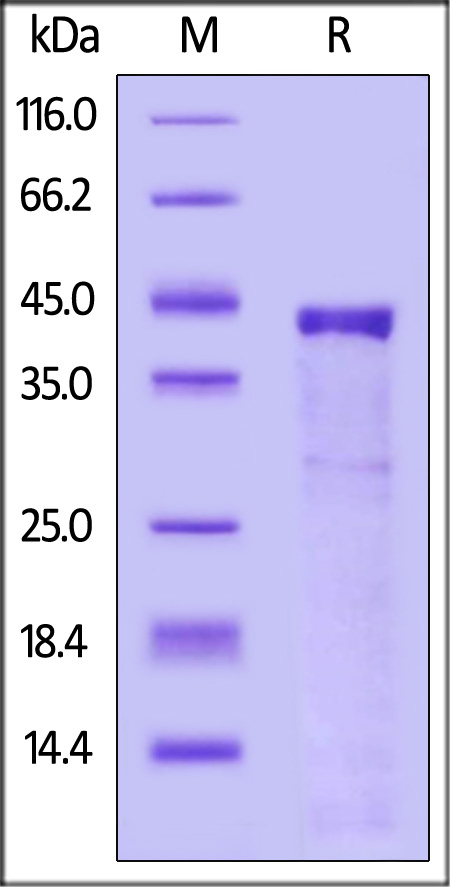 CTS-H52H9-sds