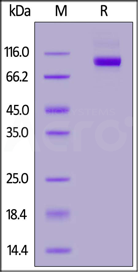 DP4-H82E3-sds