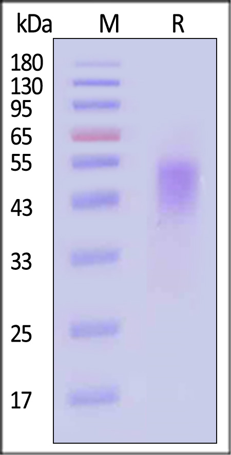 FCA-H82E3-sds