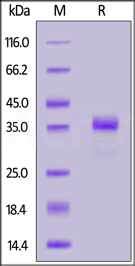 GA7-H82F4-sds