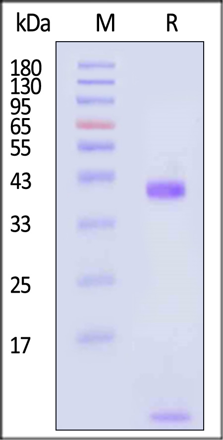 HLC-H82E9-sds