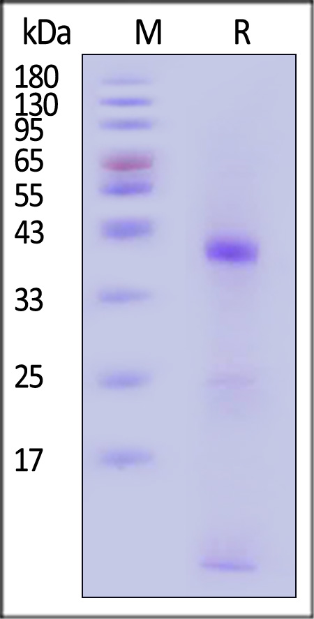 HLG-H82E3-sds