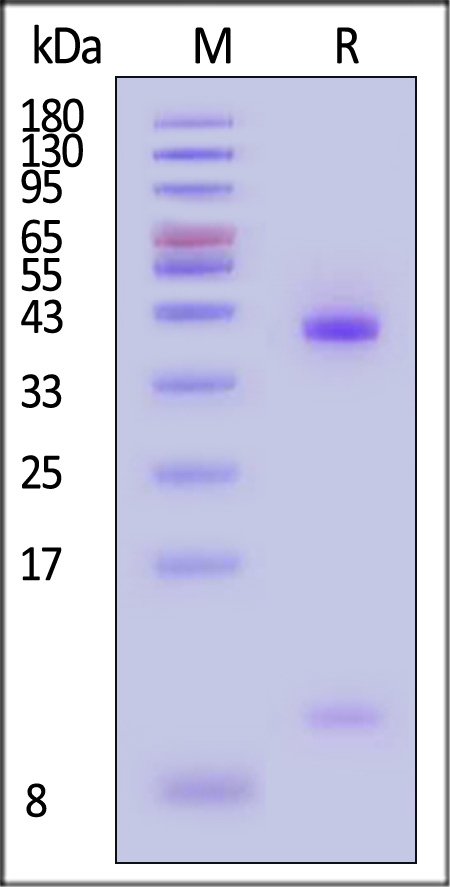 HLM-H52H7-sds