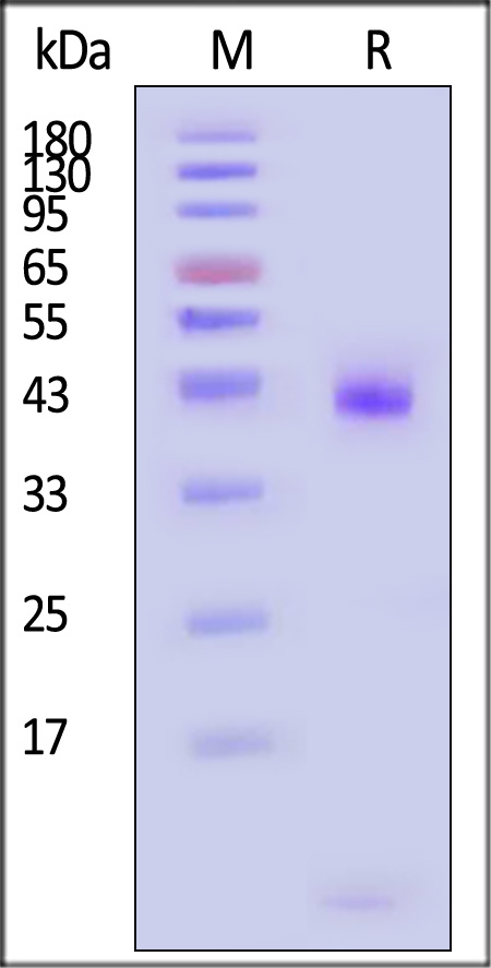 HLM-H82Eq-sds