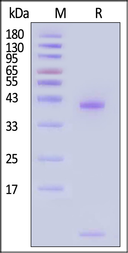 HLM-H82Er-sds