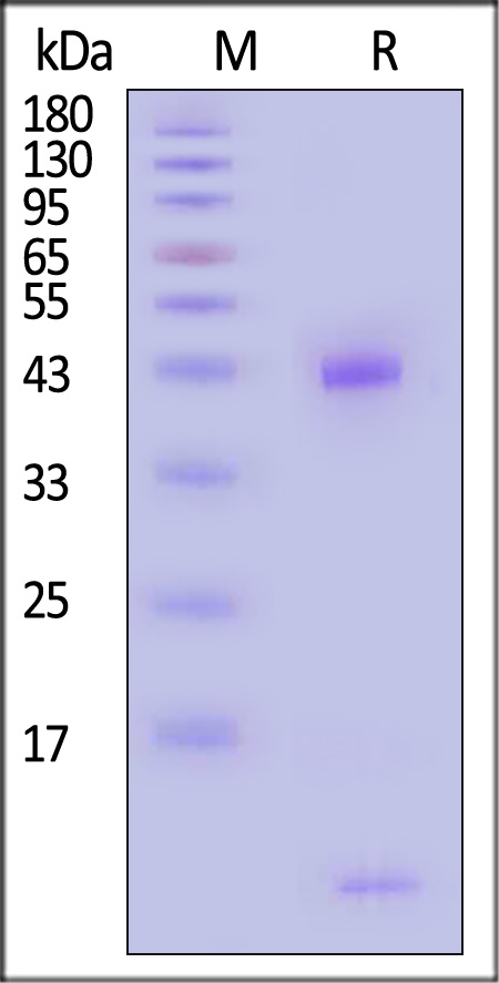 HLM-H82Es-sds