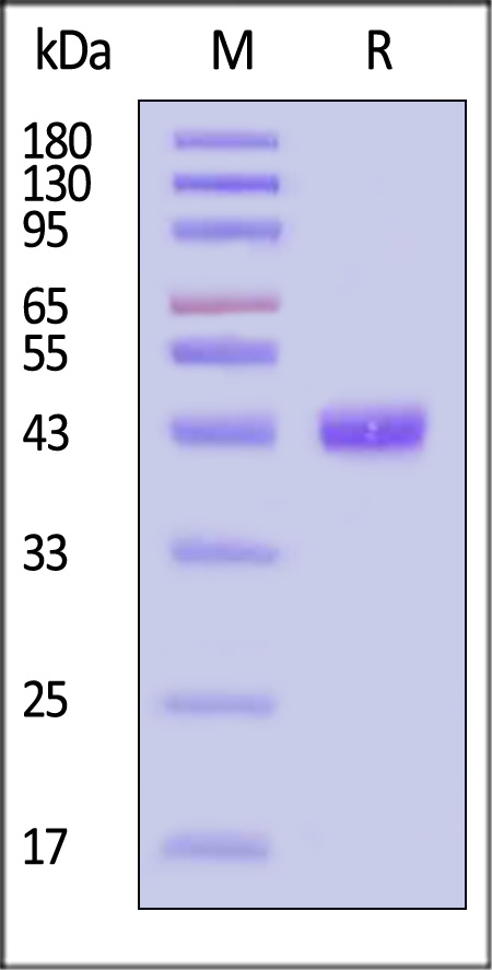 HLM-H82Ey-sds