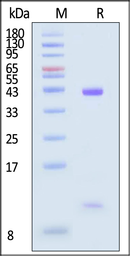 HLM-H82W5-sds