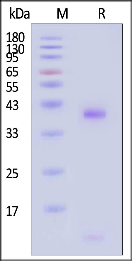 HLN-H82E3-sds