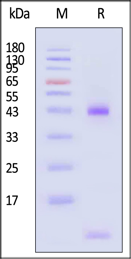 HLR-H82E3-sds