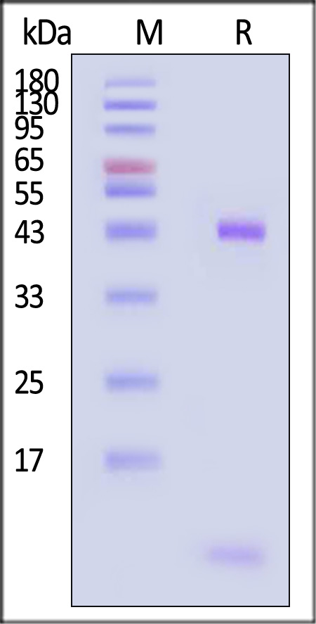 HLR-H82E5-sds