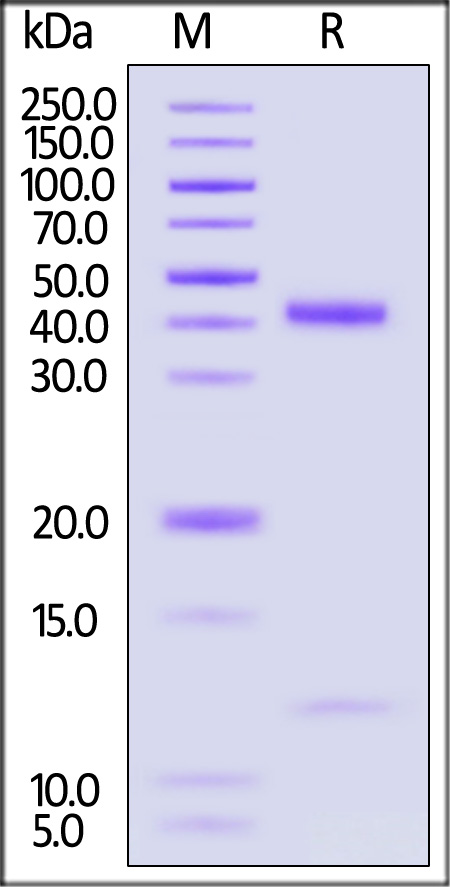 HLS-H82E4-sds