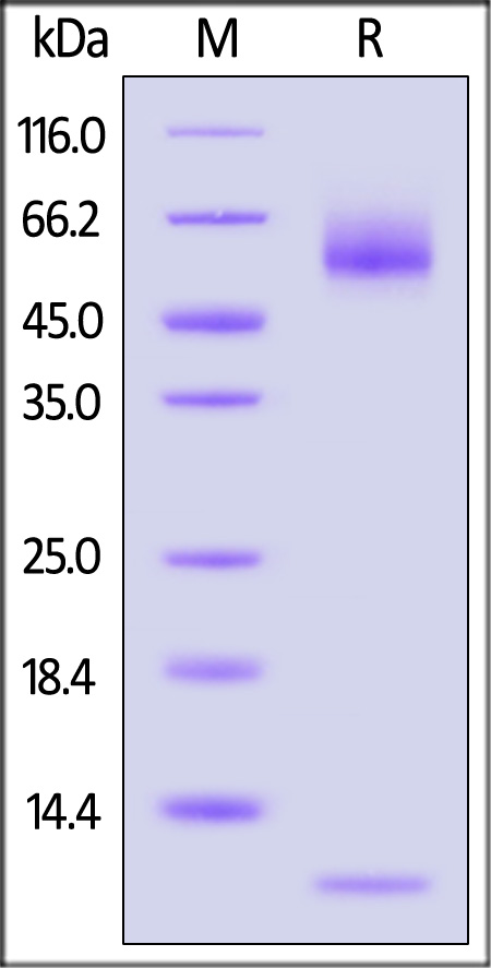 HLS-HA2H9-sds