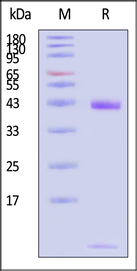 HLT-H82E3-sds