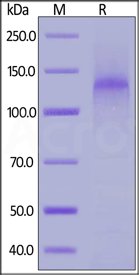 LDR-H5224-sds