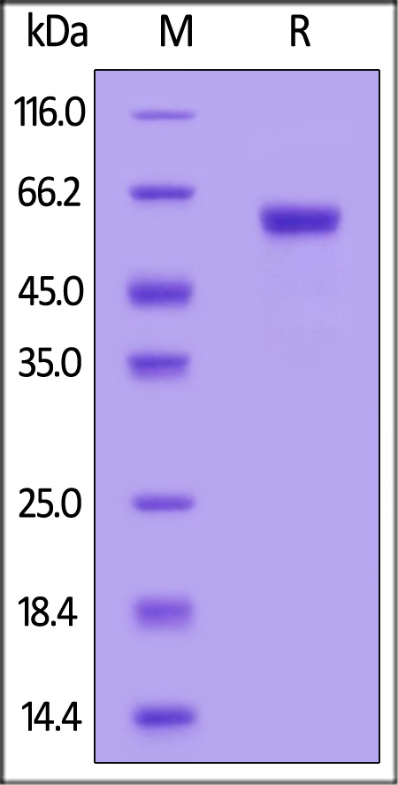 LTR-H5259-sds