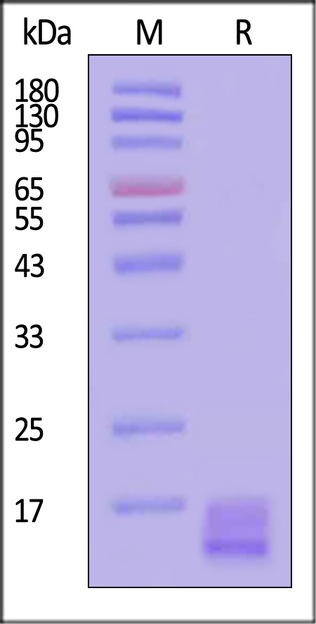 LYD-H82Q3-sds