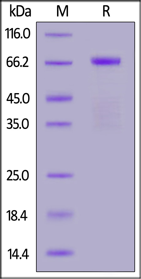 PH0-H5219-sds