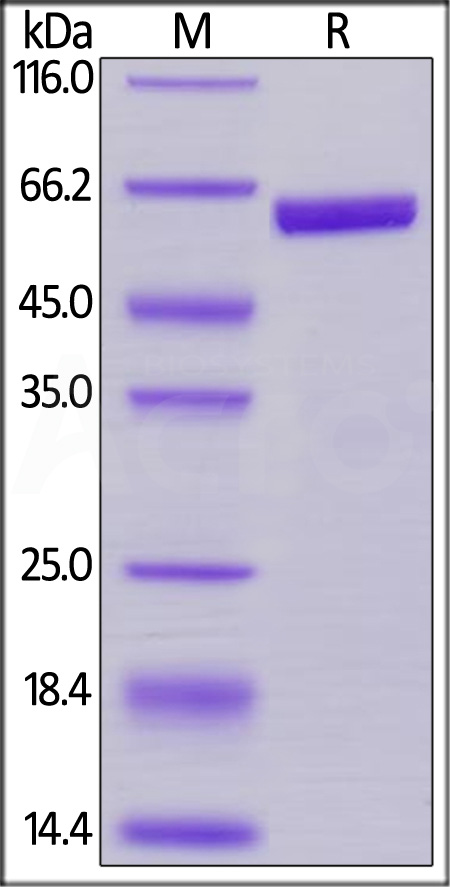 PRN-H82F7-sds