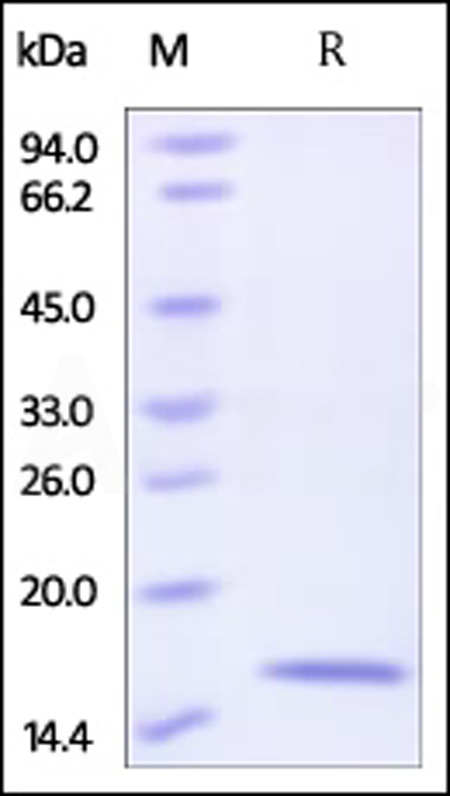 RE4-H5221-sds